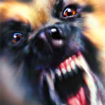 ����عѢ���, �Ѥ�չ, ��ͧ�ѹ, �ѡ��, ��Һ��, ������, rabies, vaccine, prevent, treatment, immunoglobulin, �������ź��Թ, �ѵ÷ͧ, ��Сѹ�آ�